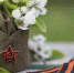 C0A12A75-2D51-4C27-9C3A-CBC770F2E04B - Газета Красное знамя