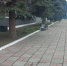 3 - Газета Красное знамя